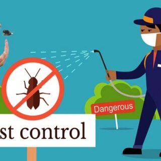 Pest Control Prices Soar