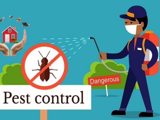 Pest Control Prices Soar